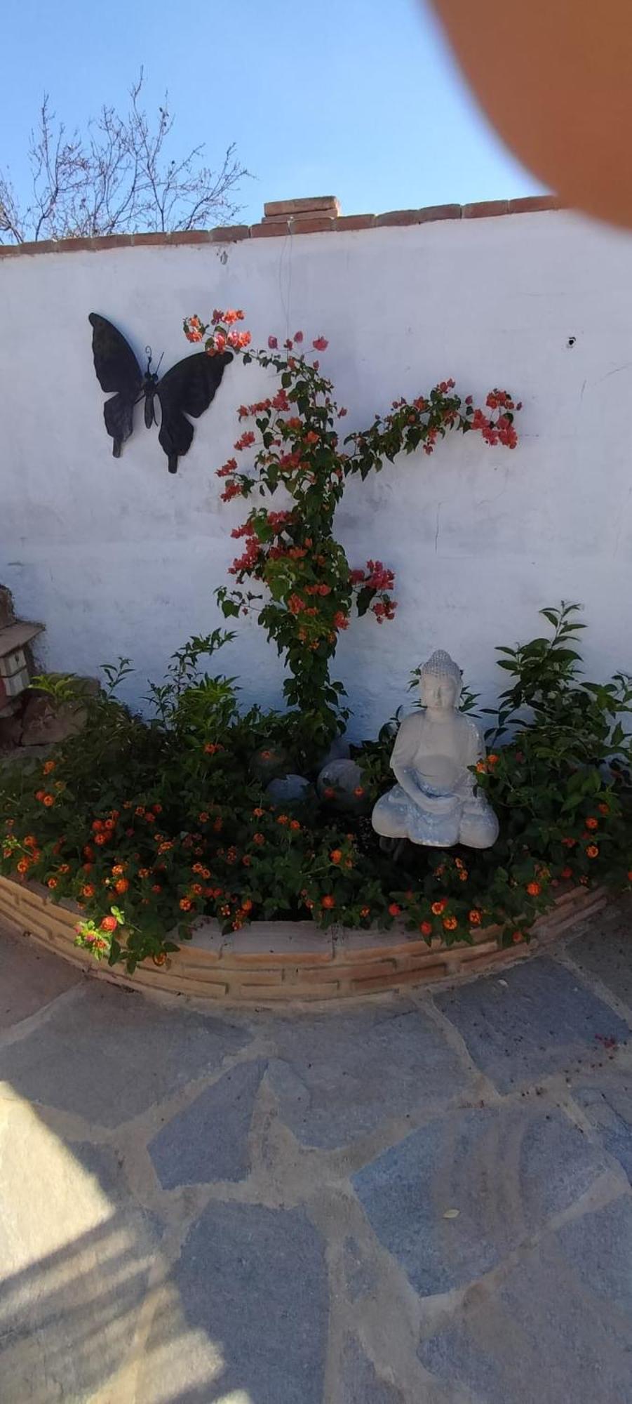 Bed and Breakfast Casa Ceratonia Álora Exterior foto